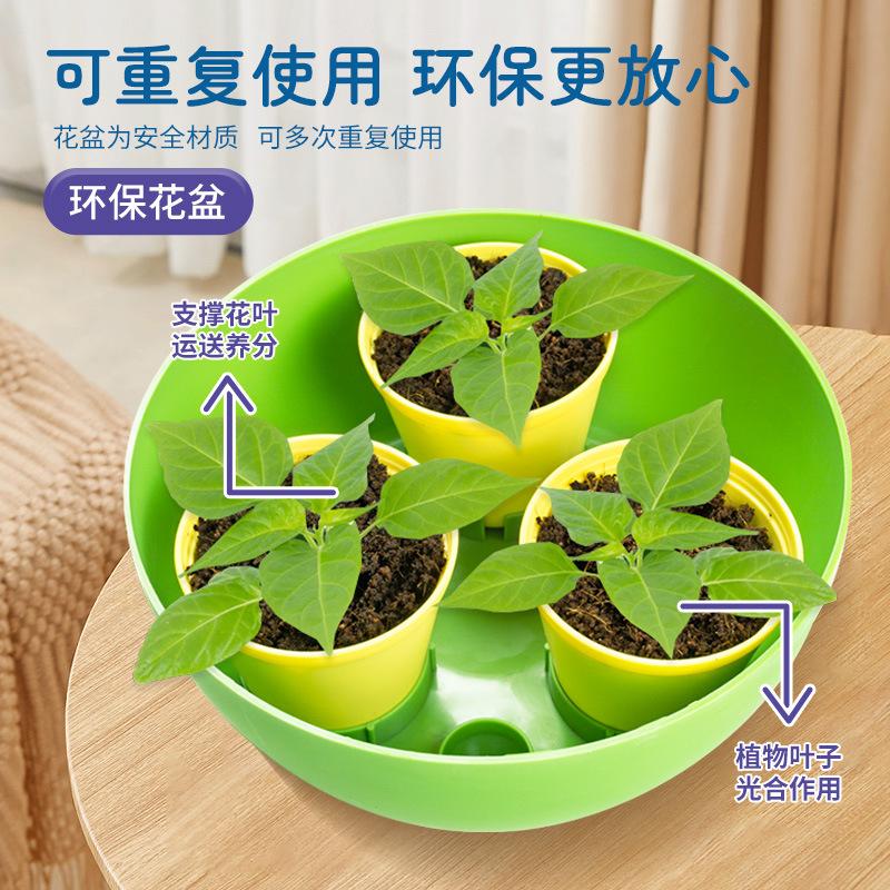 Space Planting Cabin Children's Scientific Experiment Suit Vegetable Plant Growth Hydroponic Greenhouse Cultivation Toys