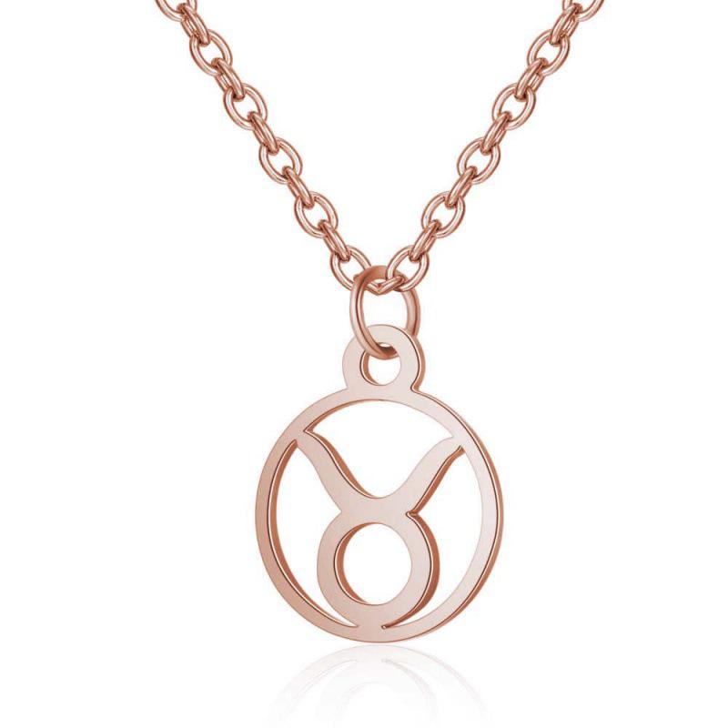 Stainless Steel Zodiac Pendant Necklace with Thin Chain