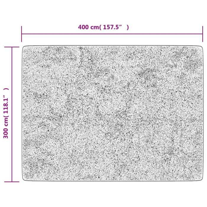 VidaXL Tapis lavable noir et doré 400x300 cm antidérapant 136629