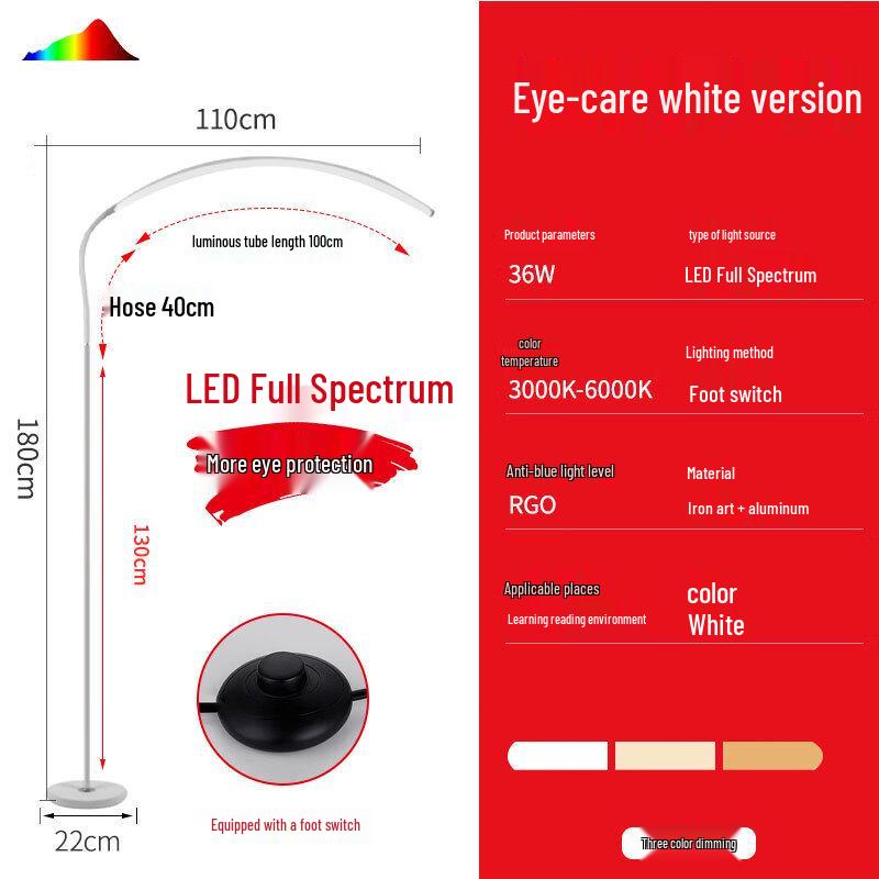 Rechargeable LED Floor & Desk Lamp