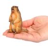 PVC Wild Animal Figurine Marmot Plastic Groundhog Ornament Realistic Animal Ornament  Office