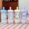 Sanrio Cartoon Tea Infuser: Cute Portable Water Cup with Straw for Girls