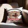 Art Rock Band Radiohead Pillow Case Square DoubleSided Printing Short Plush Sofa Cushion Cover Bedroom Bedside Pillow
