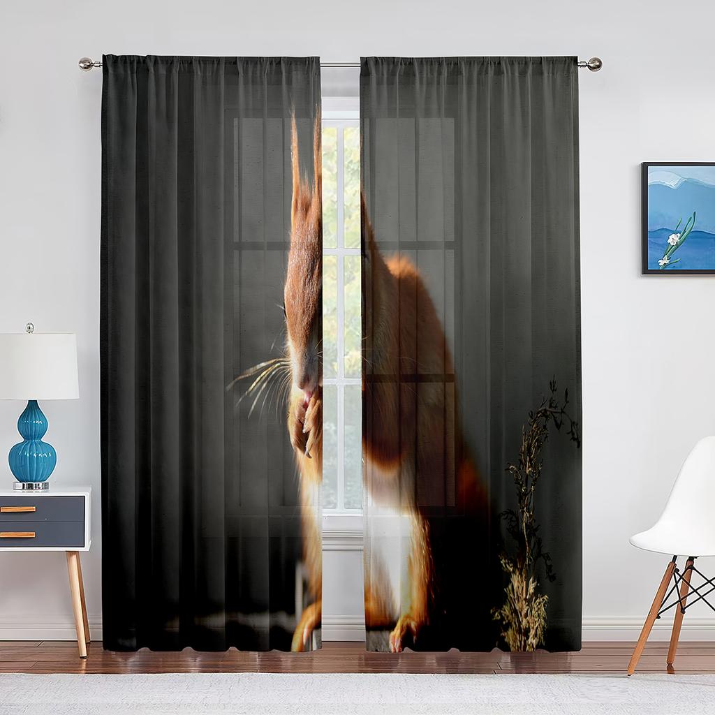 Squirrel Standing on Tree Branch Animal Sheer Voile Curtains for Living Room Modern Curtains for Kitchen Chiffon Tulle Curtain