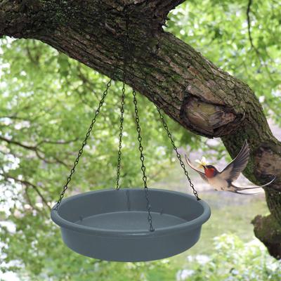 Pássaros – Louça para aves