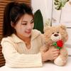 Theme Bear Teddy Plush Toy Doll Pillow Soft And Comfortable Valentines Gift Day