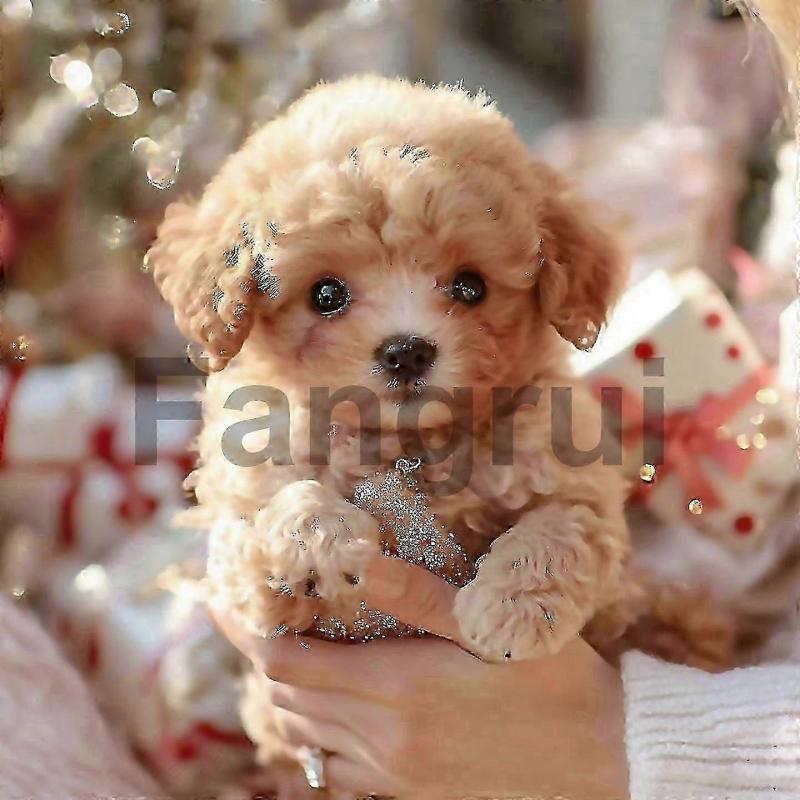 Pro robotického psa Pro dospělé AI robotický pes Můj realistický robotický štěně, které se chová jako skutečné štěně Chůze - Novinka