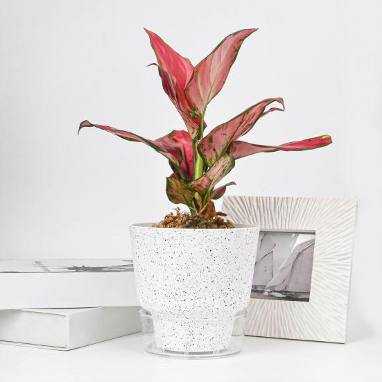 Self-Watering Flowerpot Plant Pot with Visual Reservoir Drainage Hole Self Watering Planter with Absorbent Rope for Indoor Outdoor Plants