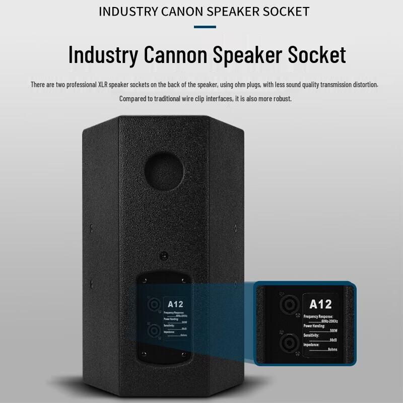 KAXISAIER Professional Full-Range Passive Speaker CN Plug (adapter Included)