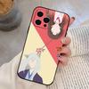 Kamisama Kiss Tomoe x namami Phone Case For iPhone 17, 16,15,14,13,12,11 Plus,Pro Max, Others Soft Black Cover