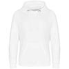 Awdis Mens Just Hoods Graduate Heavyweight Hoodie