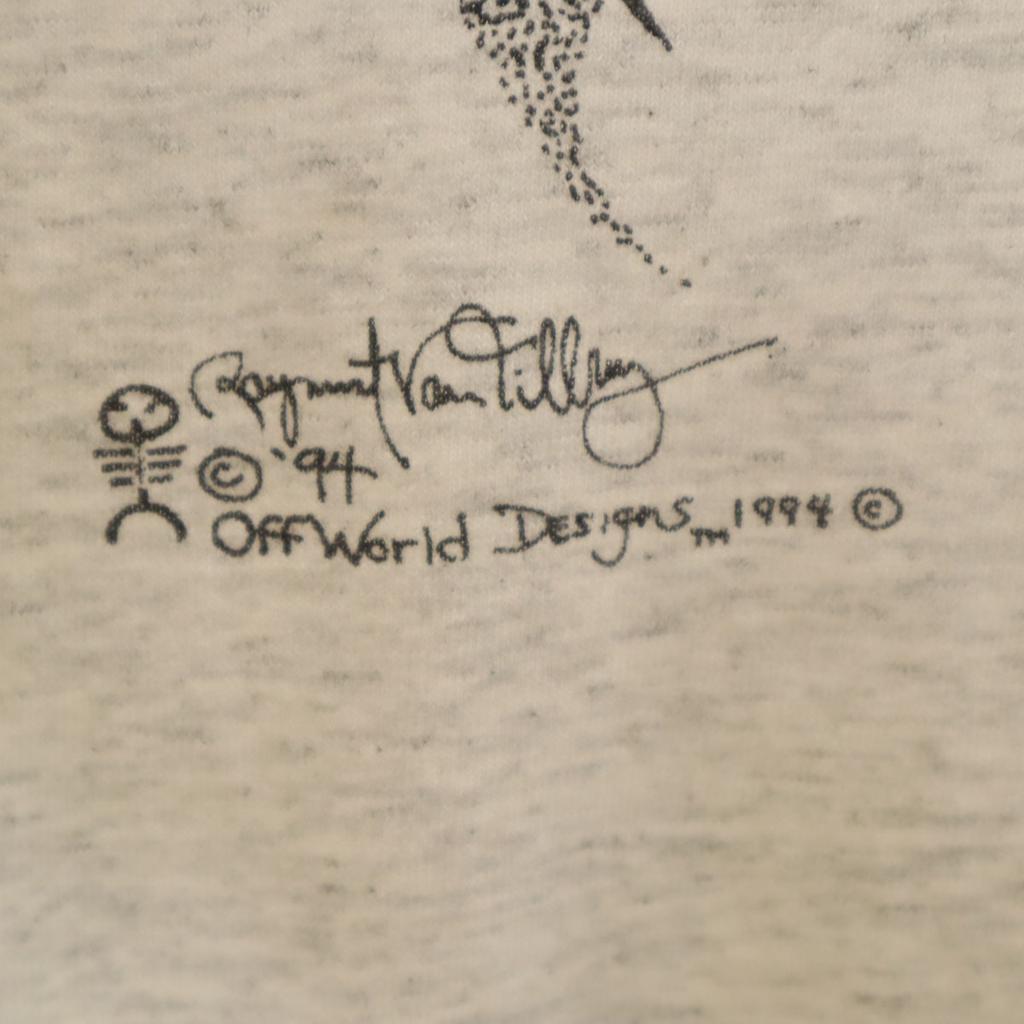 Hanes 90s Old Short sleeve T-shirt XXL Heavyweight Single Stitch Big Size Men's Used