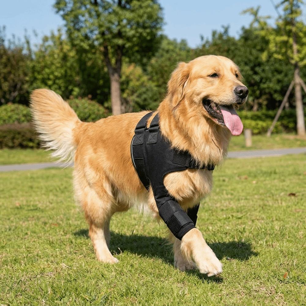 Adjustable Dog Shoulder Brace Self-Heating Dog Joint Protection Sleeve Walking