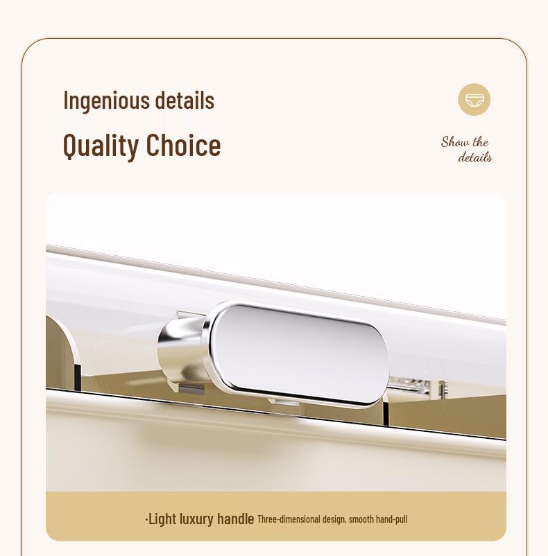 Luxury Underwear Storage Box with Lid: Dustproof, Moisture-Proof, Large Capacity, No-Drill Installation