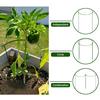 2-Pack Half Round Metal Green Garden Support Stake Garden Plant Support Wire Cage for Rose Flowers Vine Tomato (9.8'' Wide x 15.7'' High)