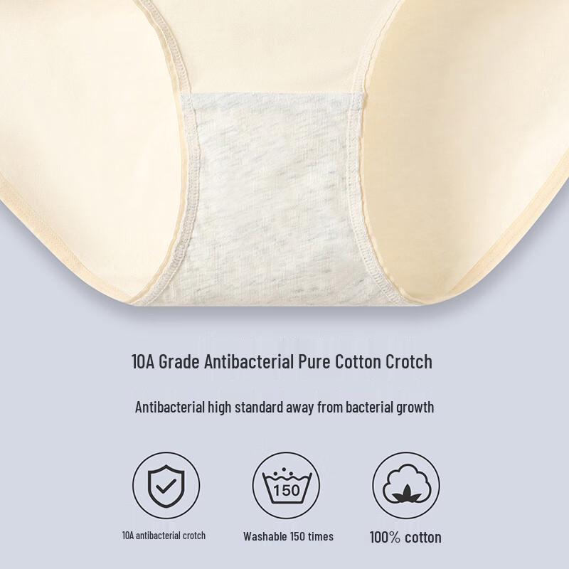 Fenteng Women's Teddy Bear Mid-Waist Cotton Briefs 4-Pack