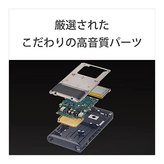 Sony Walkman 128GB WM1 Series NW-WM1AM2: Equipped with Android / Compatible with USB-TtpeC Cable / DSDDSD 11.2MHz Native Playback PCM 384kHz/32bit
