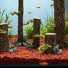 FishTank Shrimp Breeding Artificial Trunk Ornaments for Aquariums Terrarium Landscaping Shelter Decoration