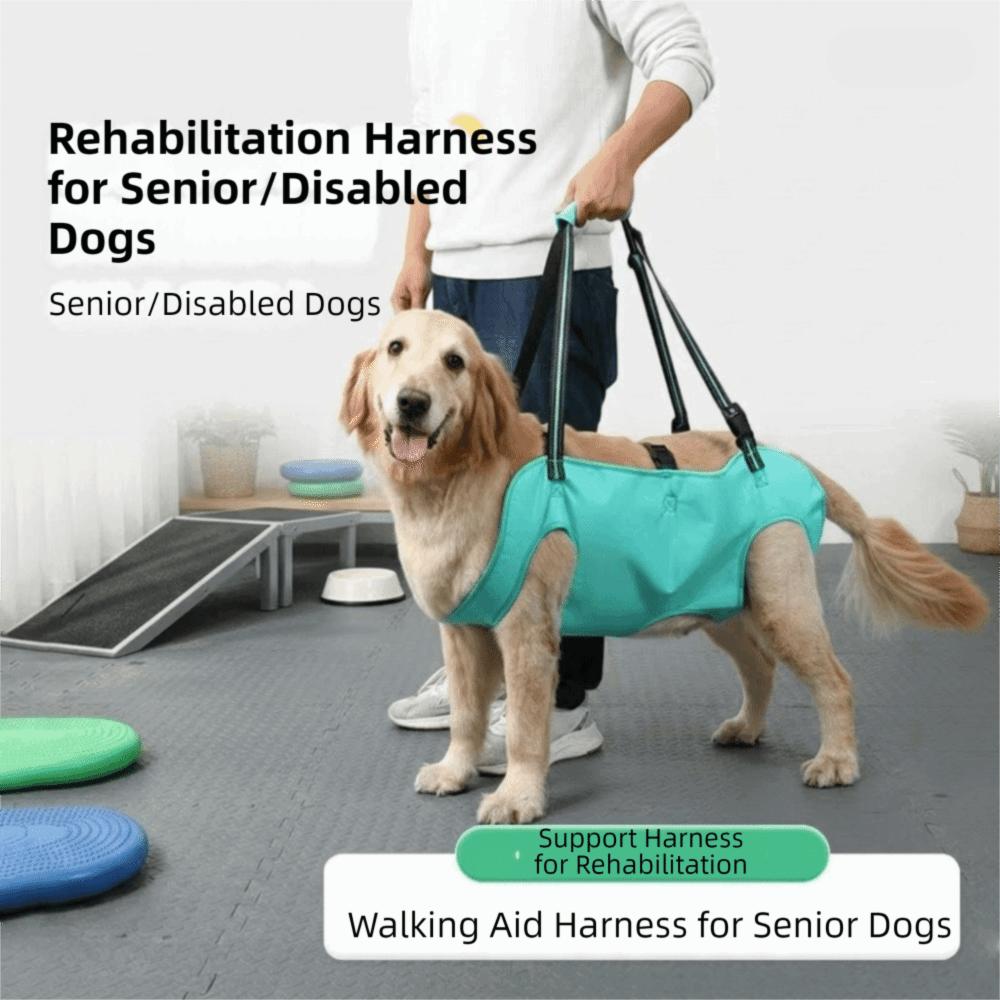 Thickened Grip Dog Lift Harness Adjustable Pet Auxiliary Vest Dog Assistance Strap  Disability Aid