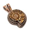 Ammonite Fossil Pendant, Gemstone 999 Copper Wire Wrapped Jewelry Pendant, Handmade Jewelry Birthstone Pendant