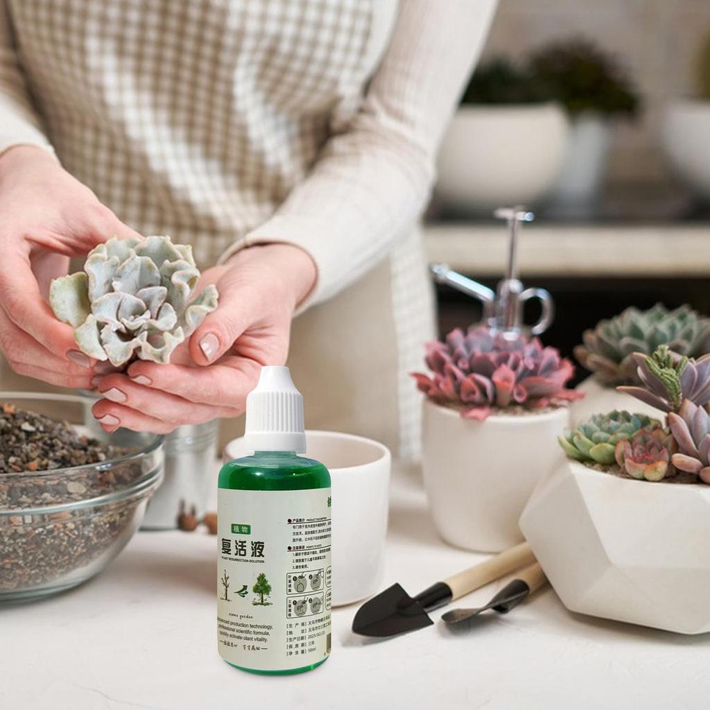 Stimulator Rădăcini Arbore Fertilizant Nutritiv Rădăcini 50ml Sol Compost Natural Organic Nutrienți Creștere Rapidă pentru Trandafir Fructe