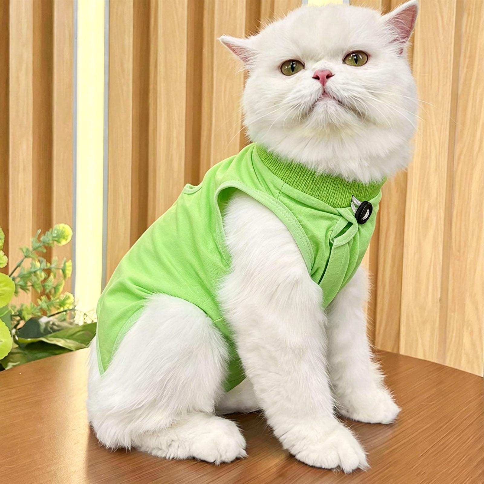 Combinaison de récupération pour chat respirante confortable anti-léchage protectrice chemise de récupération pour animaux de compagnie pour chats chatons