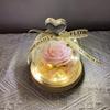 Fertige Glasabdeckung, kleine Rosenblüte, ewige Blume mit Lampe, kleines Ornament, Valentinstagsgeschenk.