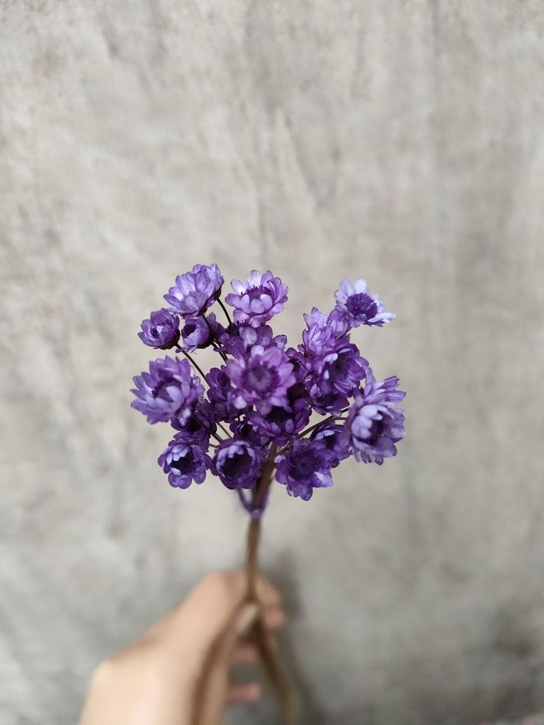 Dry Flower Wedding Party Essential Decorations For Home Home Décor Accents DIY-friendly Pressed Flowers For Party Floral