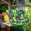 Parrot Bed Bird Hut Hammock Cockatiel Nest Summer House Perch Pet Supplies Parakeet Cage Accessories For Lovebird Finch Macaw