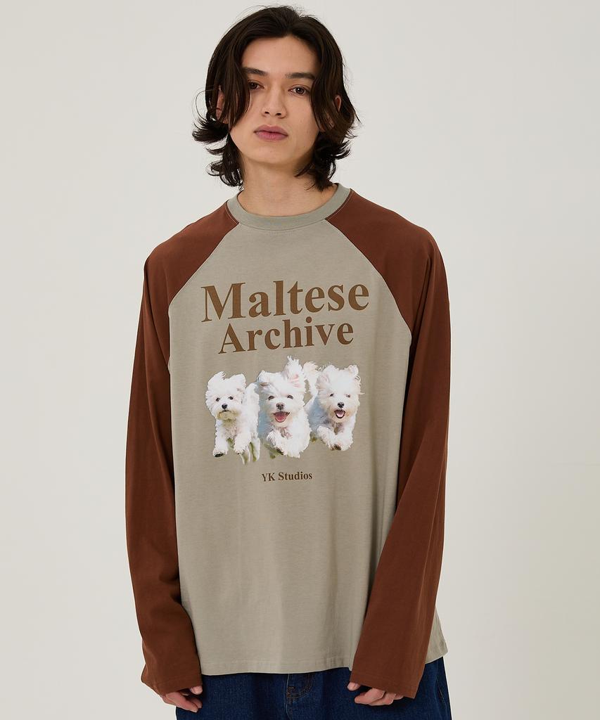 WAIKEI Maltese Archive Raglan Long Sleeve T-Shirt Ivory