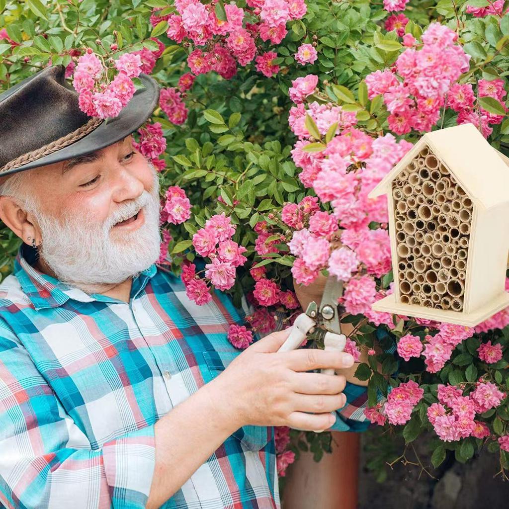 Outdoor Garden Wooden Insect House Decorative Hanging Birdcage