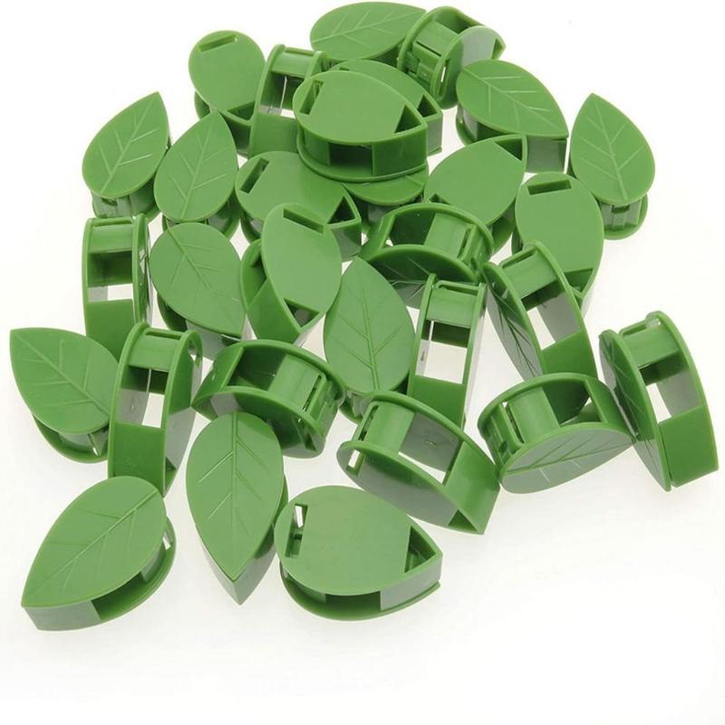10pcs/lot Invisible Wall Rattan Clamp Clip Plant Climbing Wall Clip Wall Vine Fixture Wall Sticky Hook Holder Vine Clip