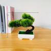 Pinus Plastic Hwangshanensis Plants Bonsai Plant With Realistic Appearance