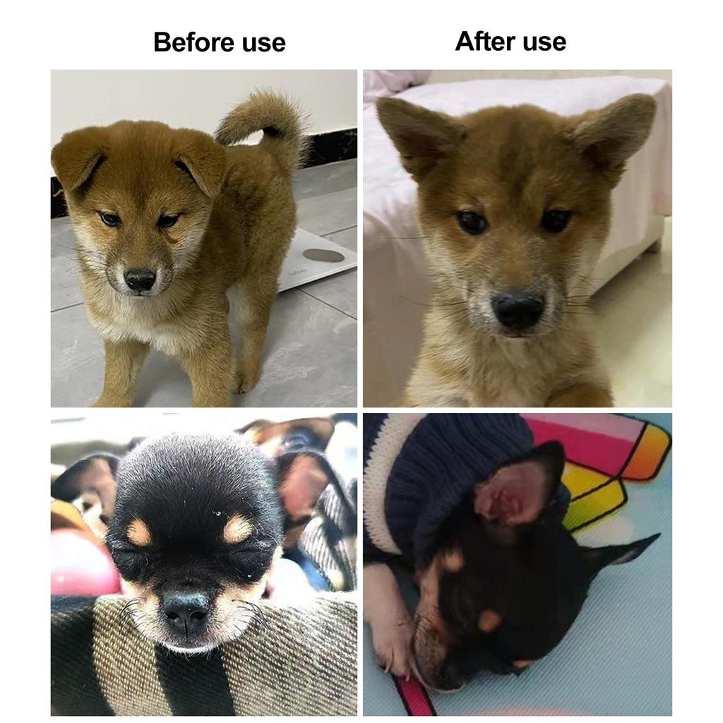 1 Pair Dog Ear Support Patch Dog Ears Stand Sticker Ear Fixed Correction Vertical Holder