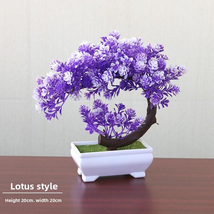 Plastic Bonsai Terrarium With Creative Design For Indoor Garden Display