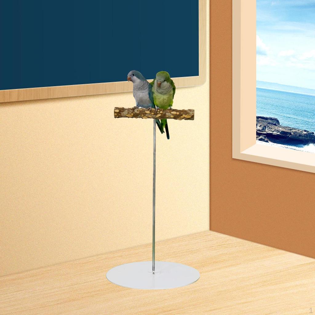 Bird Perch Stand Play Gym Playpen Practical Chewing Biting Toy Playground