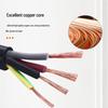 Zhengyuan RVVP Flame-Retardant Pure Copper Shielded Control Cable