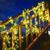 Solar Powered Plant Vine LED String Lights