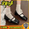 Silver Square Head Thick Heel Single Shoes Women's New Summer New with Skirt Light Mouth Mary Jane Shoes