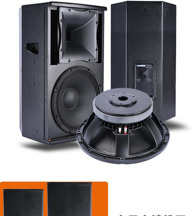 Professional High-Power 12-15 Inch Stage and Home Audio Subwoofer for KTV, Conference, Dance, and Cinema