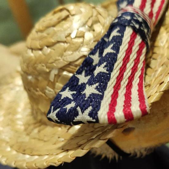Adjustable Fashion Pet Lizard Straw Hat 