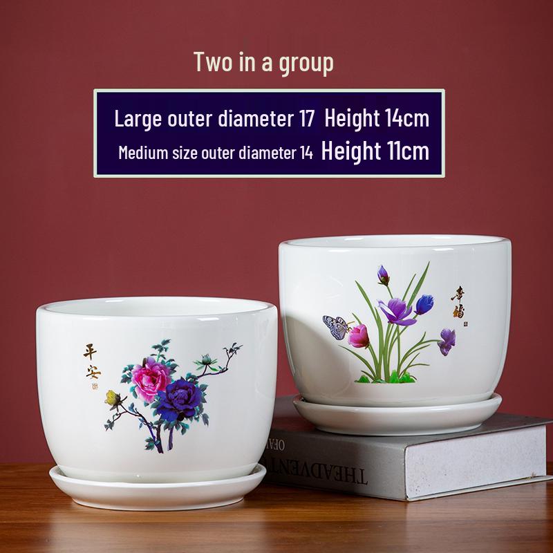 Large Ceramic Flower Pot with Saucer for Indoor or Balcony Plants