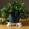 3Pcs New Elevated 3D Flower Pot Feet Drainage Creative Plant Pot Risers Portable Flower Elevators Plant Pot Use