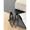 2025 spring and autumn new fashion versatile French thick heel gentle wind Mary Jane small leather shoes women's shoes pointed