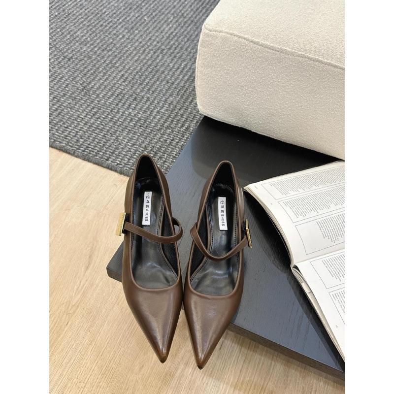 2025 spring and autumn new fashion versatile French thick heel gentle wind Mary Jane small leather shoes women's shoes pointed