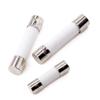 Fusível Cerâmico de Ação Rápida 250V 5X20MM 6X30MM 0.25A -30A