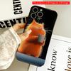 2DFlat Orange Cat Sipping Coffee On Dark Background All Inclusive Film Hard iPhone Case, Compatible with iPhone 18 Pro Max 17 16 15 14 13 12 11