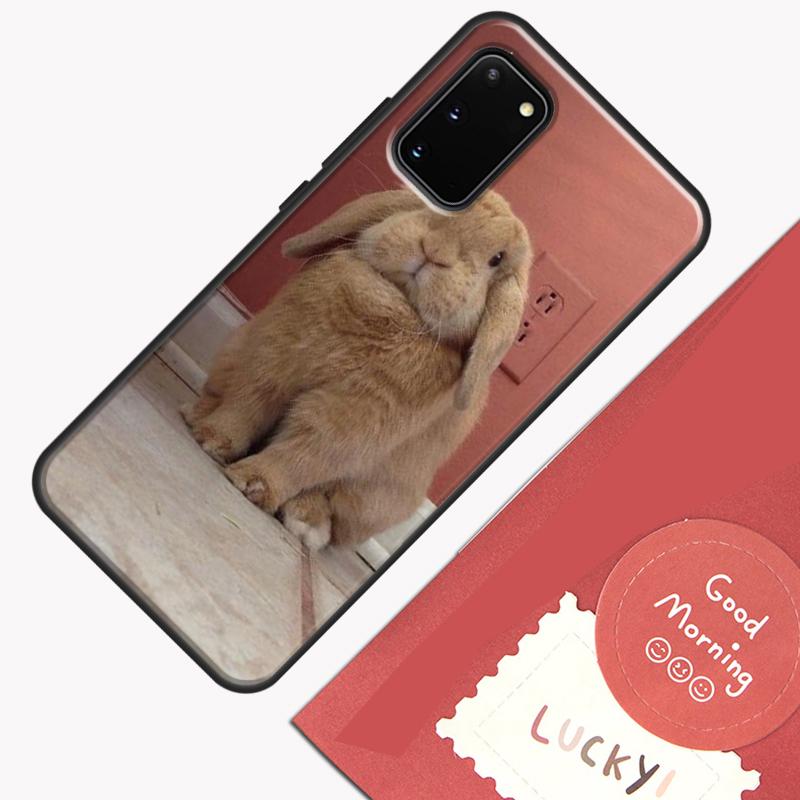 Baby Rabbits Bunny Phone Case For Samsung Galaxy S25 S26 Ultra S20 S21 S22 S23 S24 Plus S9 S10 S25 FE Cover Shell