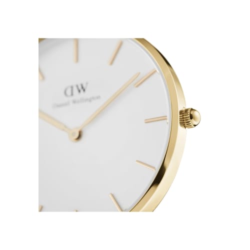 Daniel Wellington [Official Shop/2-Year Warranty/Authentic Import] DW Watch for Men and Women, Petite Evergold YG, 36mm, Stylish, Popular, Cute Mesh W