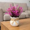 Plastic Decorative Potted Plants Ornaments Simulation Plants Beauty Artificial Plants  Home